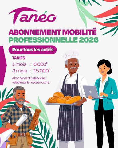 actifs professionnels